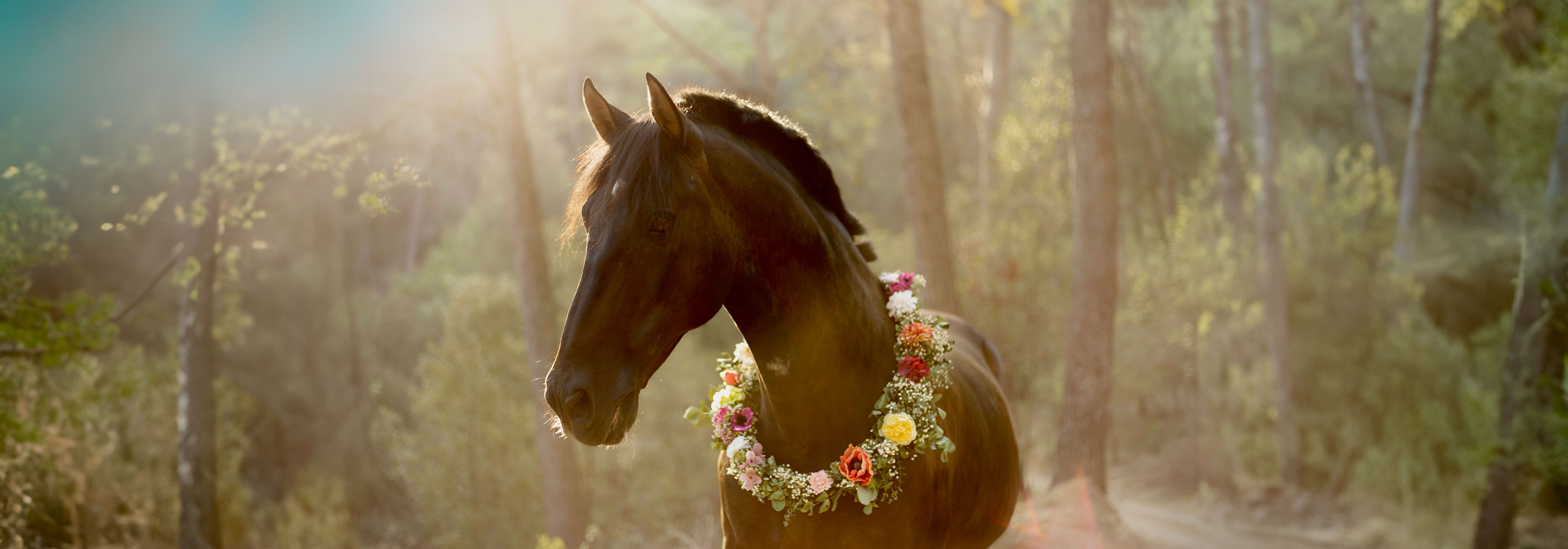 Caballo con corona de flores en el bosque